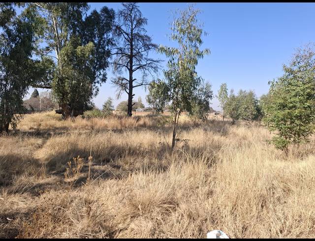 16,225M² SMALLHOLDING FOR SALE IN MIDDELVLEI AH